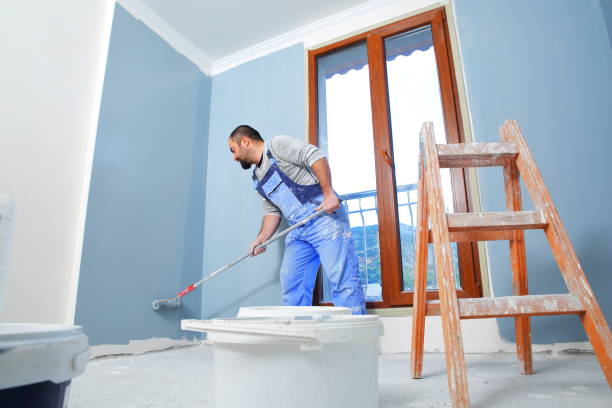 Best Mold Documentation for Insurance Claims  in St Clair Shores, MI