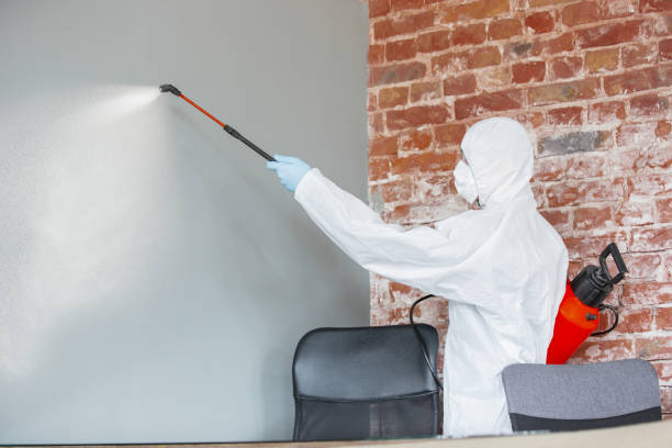 Best Post-Construction Mold Inspection  in St Clair Shores, MI
