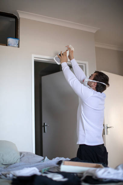 Best Airborne Mold Testing  in St Clair Shores, MI