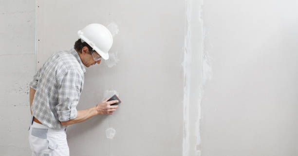 Reliable St Clair Shores, MI Mold Removal Solutions